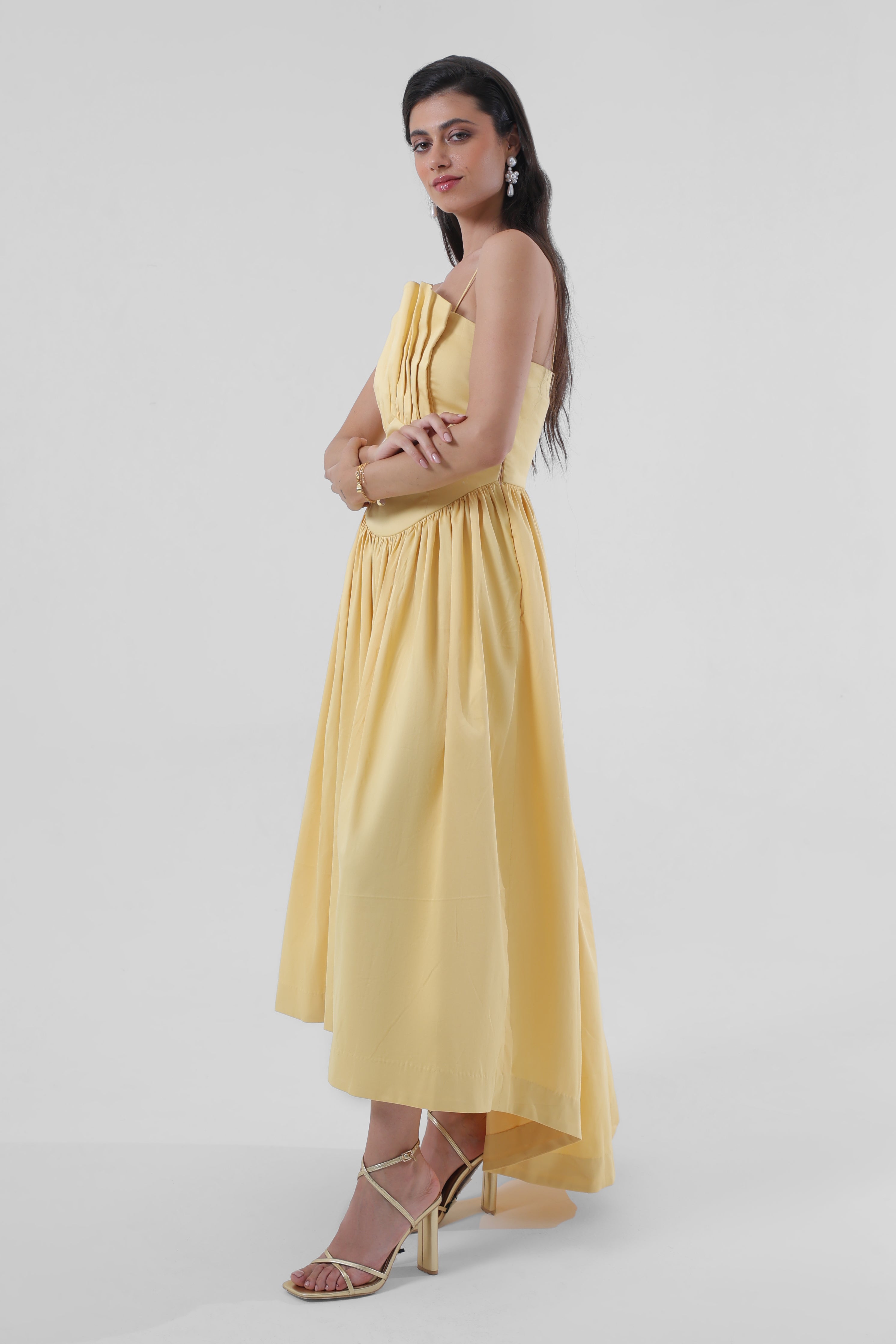 Voyage Pleated Dress